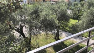 Vonkajšia záhrada v ubytovaní La terrazza sugli ulivi