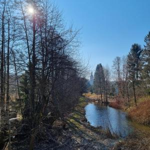 Příroda nedaleko apartmánu