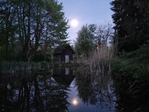 Příroda nedaleko apartmánu