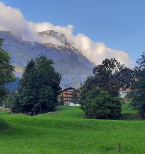Paesaggio naturale nelle vicinanze dell'appartamento