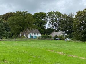 a white house with a fence in a field at Moorhuus - Paradies am Wilden Moor in Winnert