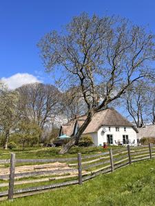 a white house with a fence and a tree at Moorhuus - Paradies am Wilden Moor in Winnert