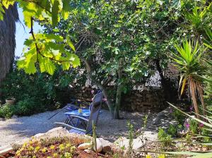 Сад в Getaway house Gundula