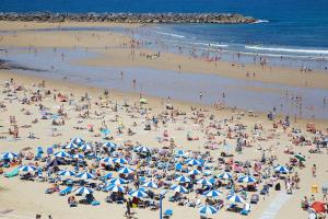 Plaża w apartamencie lub w pobliżu