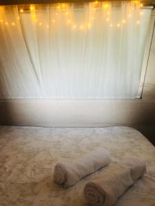 a bedroom with a bed with a white curtain and lights at La Ferme de Rotani in Aléria