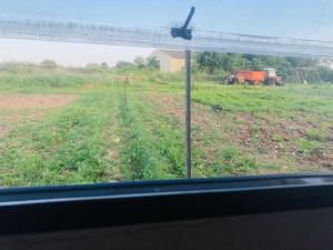 Zdjęcie z galerii obiektu La Ferme de Rotani w mieście Aléria