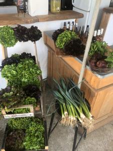 Zdjęcie z galerii obiektu La Ferme de Rotani w mieście Aléria