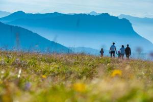 un grupo de personas caminando en un campo de flores en Auberge d'Aillon et d'Ailleurs en Aillon-le-Jeune