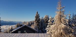 a cabin in a snowy forest with snow covered trees at Apartment Zirbengeist Gerlitzen in Treffen