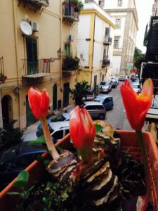 a planter with red flowers on a city street at Kalza House in Palermo