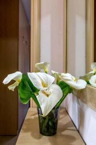 尼坡帝Canal Luxury Apartments的相册照片