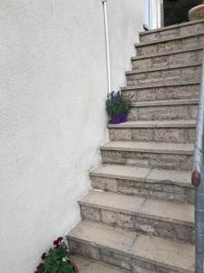 a set of stairs with two potted plants on them at Large property which is all about location, location , location ! Lovely Comfortable 2 bedroom flat which is spacious and one of the best value properties of this size so close to the sea , beaches and restaurants 1 min to the sea ! in Lyme Regis