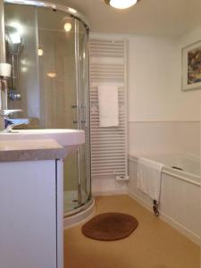 a bathroom with a shower and a sink at Large property which is all about location, location , location ! Lovely Comfortable 2 bedroom flat which is spacious and one of the best value properties of this size so close to the sea , beaches and restaurants 1 min to the sea ! in Lyme Regis