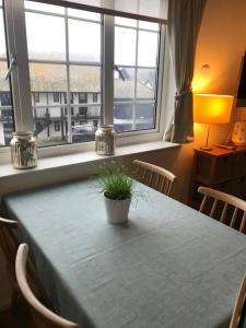 a table with a plant on it in a room with windows at Large property which is all about location, location , location ! Lovely Comfortable 2 bedroom flat which is spacious and one of the best value properties of this size so close to the sea , beaches and restaurants 1 min to the sea ! in Lyme Regis
