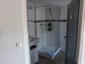 een badkamer met een douche en een wastafel bij Ferienwohnung Palatina Annweiler in Annweiler am Trifels