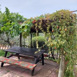 Vonkajšia záhrada v ubytovaní Agriturismo Villa Carducci