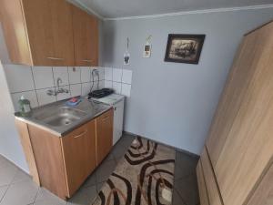 una pequeña cocina con fregadero y encimera en Ranczo Róż Wi-Ta, en Przytór