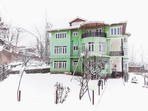Calm Holiday Inn في سريناغار: مبنى كبير أخضر في الثلج مع أرضية مغطاة بالثلوج