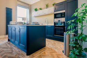 a kitchen with blue cabinets and a large plant at Derwent House Apartments in Scarborough