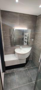 La salle de bains est pourvue d'un lavabo blanc et d'un miroir. dans l'établissement Appartement F2 dans le centre historique, au Puy-en-Velay