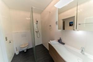 a bathroom with a shower and a toilet and a sink at Apartment Bungalow Sekirn in Sekirn