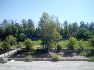 a view of a park with trees and a bridge at Отдельная квартира с видом на Ботанический садWiFi in Bishkek