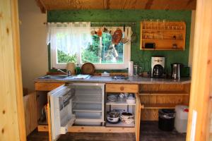 Η κουζίνα ή μικρή κουζίνα στο Dom Žaba - Spreewaldatmosphäre im neu renovierten Bauwagen