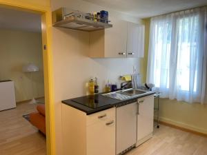 a kitchen with a sink and a counter top at Studio Neptun 4 im Zentrum von Bad Ragaz in Bad Ragaz