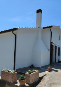 um edifício branco com dois vasos de plantas em frente em La_casa_di_ Willy em Canai