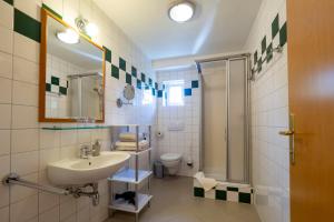 a bathroom with a sink and a toilet and a mirror at Gästezimmer Ilse Brauneis in Mautern