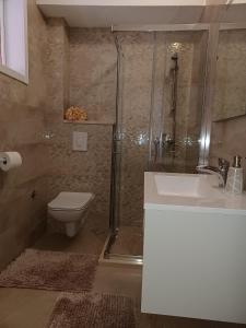 ein Bad mit einer Dusche, einem WC und einem Waschbecken in der Unterkunft Apartmani Bartulović in Blace