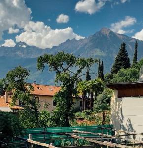 Cette maison offre une vue sur la montagne. dans l'établissement Franz Haus Apartments, à Merano