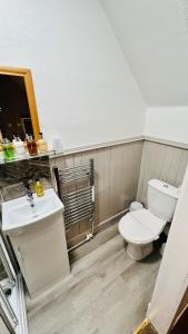 a bathroom with a toilet and a sink at Aultguish Inn in Garve