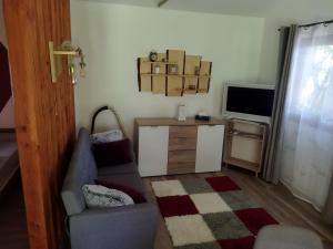 ein Wohnzimmer mit einem Stuhl und einem TV in der Unterkunft Daniel Apartman in Tahitótfalu