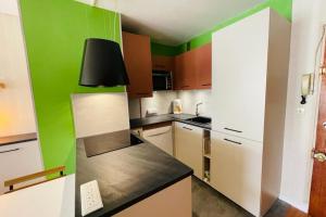 - une cuisine avec des murs verts et un réfrigérateur blanc dans l'établissement PERLE RARE  DUPLEX - parking gratuit, à Saint-Jean-de-Luz