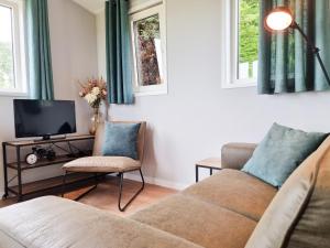 a living room with a couch and a tv at Landelijk gelegen Chalet OK40 in Oostkapelle