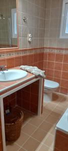 a bathroom with a sink and a toilet and a mirror at Casa rural El Abuelo Arturo in Becerril de la Sierra