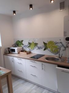 Kuchyňa alebo kuchynka v ubytovaní Apartament u Jankiego