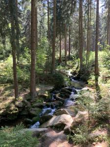 Príroda v okolí apartmánu