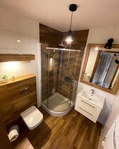 een badkamer met een douche, een toilet en een wastafel bij Bacówka Polany in Polany