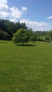 a field of green grass with two trees in it at Apartamentos La Ardina in Celorio