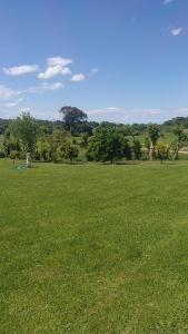 a field of green grass with trees in the background at Apartamentos La Ardina in Celorio