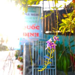 Vườn quanh Quoc Dinh Guesthouse