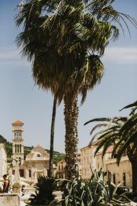 una palmera frente a un edificio en Blu Riva Hvar, en Hvar