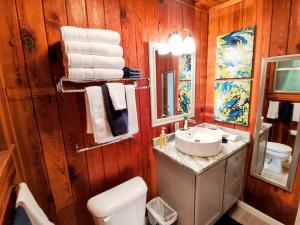 Un baño con lavabo, inodoro y espejo. en Lake Haven Cottage with Game Room, Swim Dock and Boat, en Hot Springs 29 fotos más