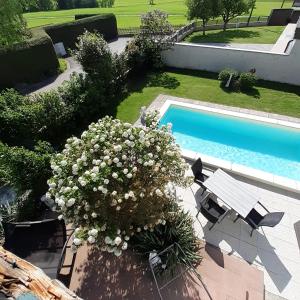 una vista sul tetto di una piscina con fiori accanto di Reitbergs Nest a Eugendorf
