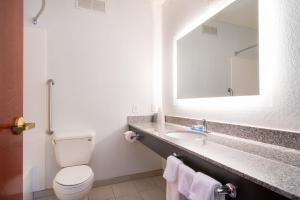 a bathroom with a toilet a sink and a mirror at Holiday Inn Express Hotel & Suites Bedford, an IHG Hotel in Bedford