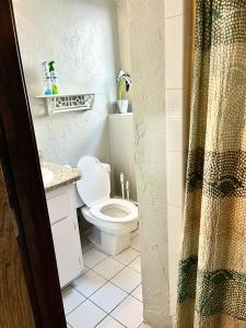 a bathroom with a toilet and a shower curtain at Daybed with trundle - access to home library & bar in Revere