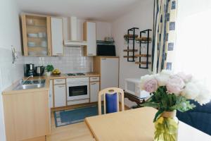 Kuchyň nebo kuchyňský kout v ubytování Apartments Stissen - Hideaway am Sonnhügel