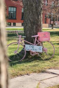 a pink bike parked next to a tree at Auberge de Jeunesse Magog-Orford Hostel in Magog-Orford